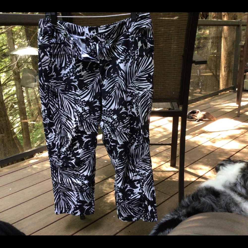 Lane Bryant Beautiful Capris